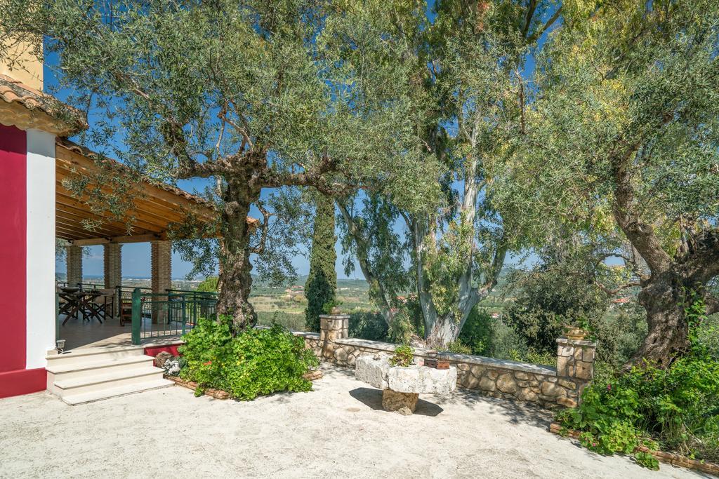 Aelia * Kallithea (Zakynthos)